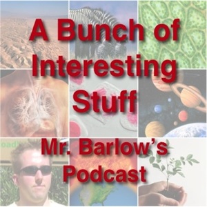 A Bunch of Interesting Stuff Podcast artwork